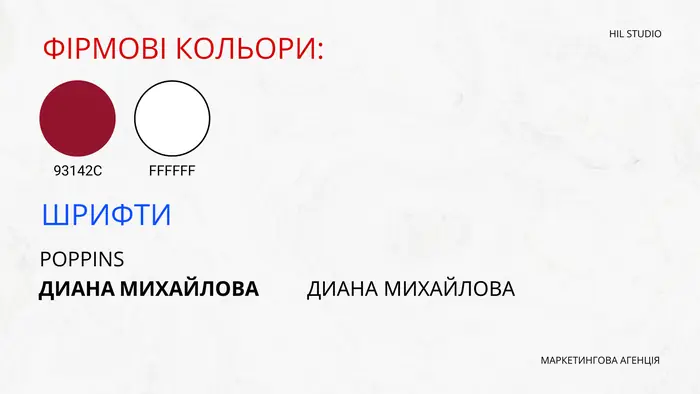 Фірмові кольори та шрифт для варіанта 1