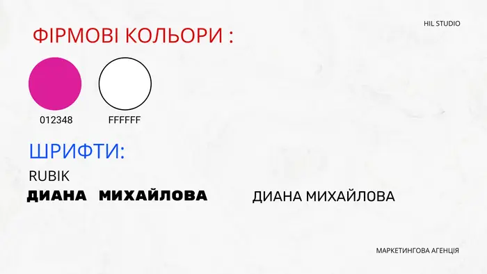 Фірмові кольори та шрифт для варіанта 2