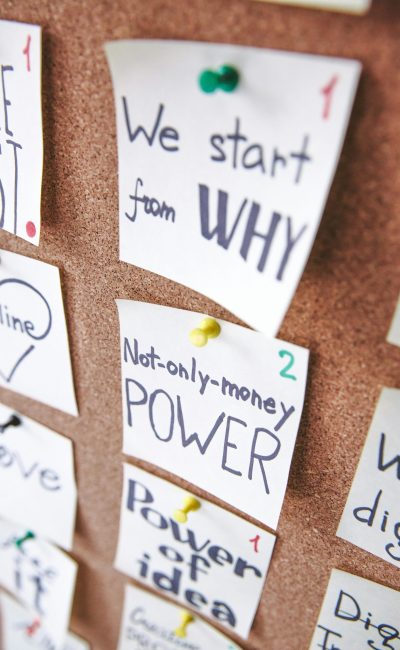 pexels-polina-zimmerman-3782142